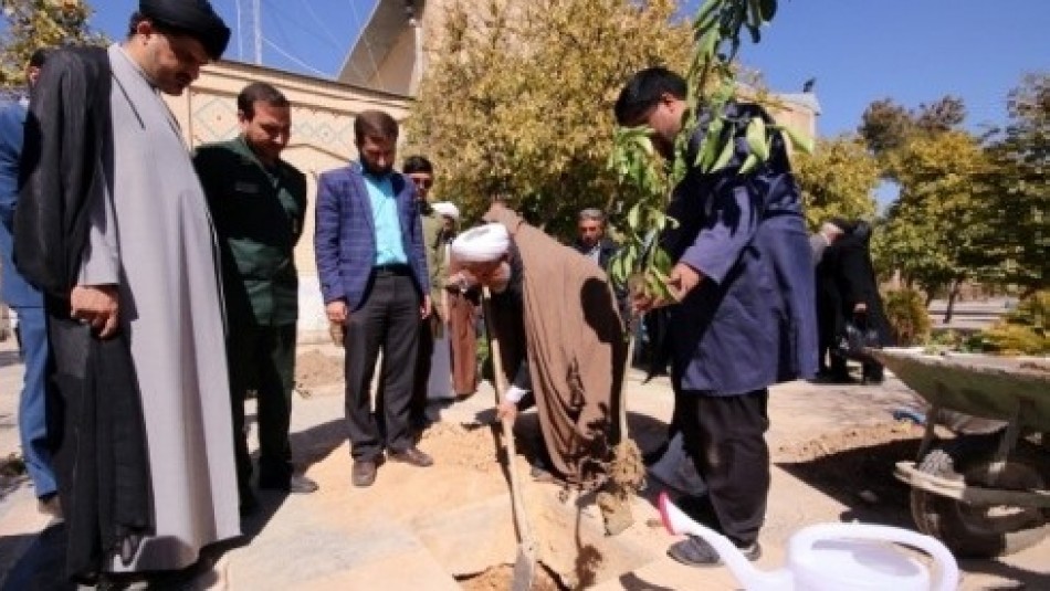 غرس ۴۵ اصله درخت در بقاع متبرکه شیراز به مناسبت هفته درختکاری