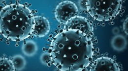 شیوع بیماری آنفلوانزا در کشور فروکش کرده است