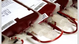 کرونا  از طریق خون منتقل نمی‌شود ، به کمک نیازمندان به خون بشتابید