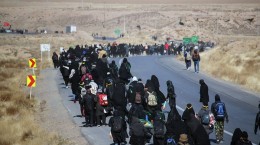 بیش از 210 هزار زائر پیاده رضوی وارد مشهد شدند