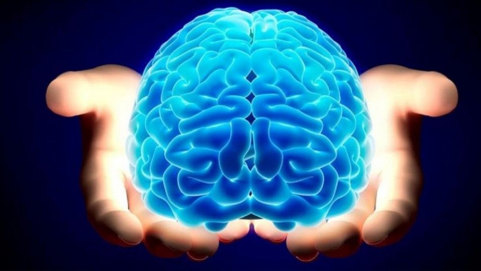مغز انسان برای نخستین بار 12 ساعت در آزمایشگاه زنده ماند