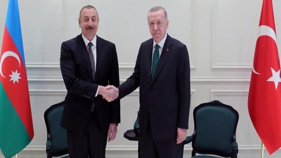 اردوغان و علی‌اف دیدار کردند