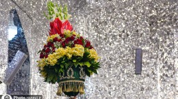 تصاویر/ گل‌آرایی ضریح منور رضوی با گل‌های نرگس اهدایی از بهبهان