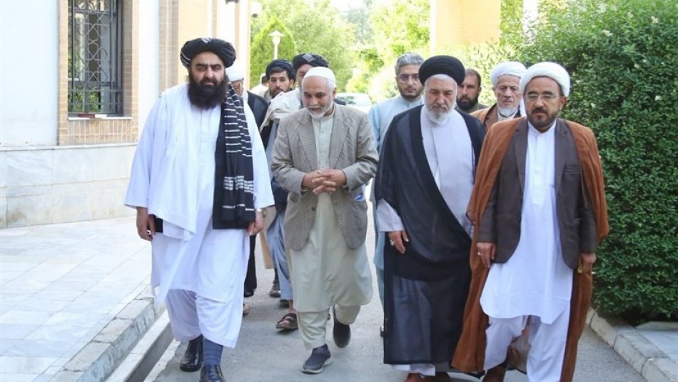 ضرورت حمایت مراجع دینی از جامعه پیروان اهل بیت(ع) در افغانستان