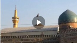 فیلم/ تعویض پرچم گنبد حرم رضوی در سالروز رحلت حضرت زینب(س)