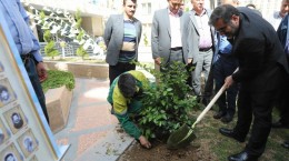 غرس نهال توسط وزیر فرهنگ همزمان با روز درختکاری