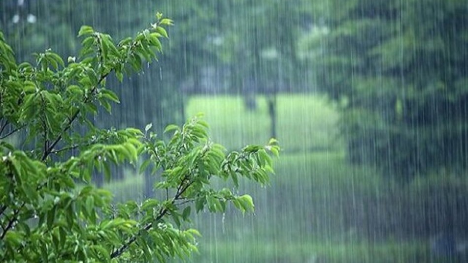 بارش باران در اغلب استان‌های کشور/ خیزش گرد و خاک در نوار شرقی