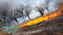 تصاویر هوایی از جنگل‌های زاگرس پس از آتش‌سوزی